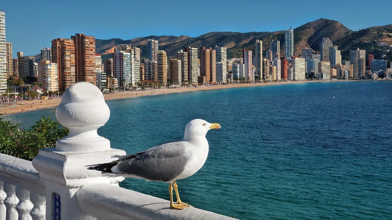 Emigeren naar spanje