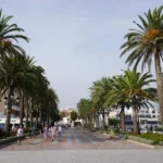 Palm tree-lined promenade bustling with people on a sunny day by the coast.
